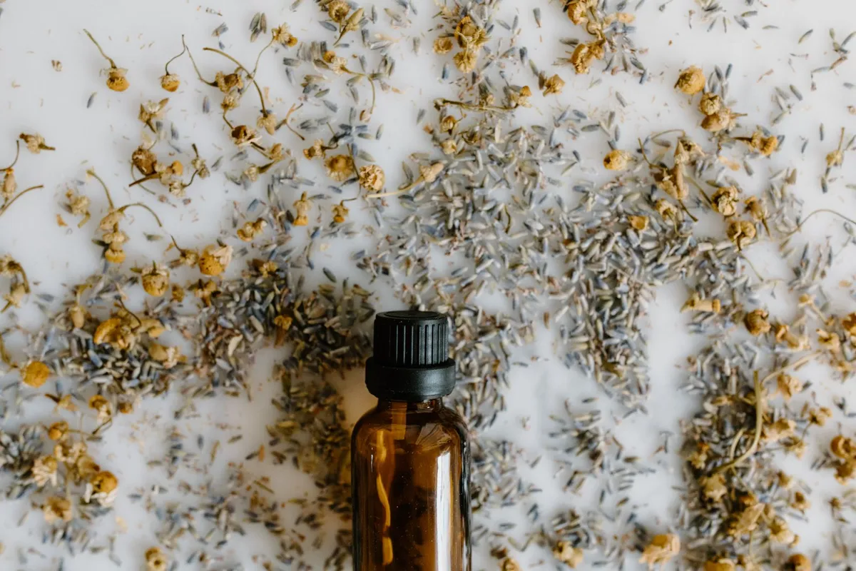 Illustration de l'article « Cinq plantes pour apaiser un sommeil difficile »