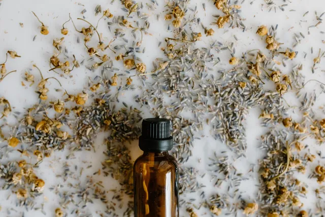Cinq plantes pour apaiser un sommeil difficile